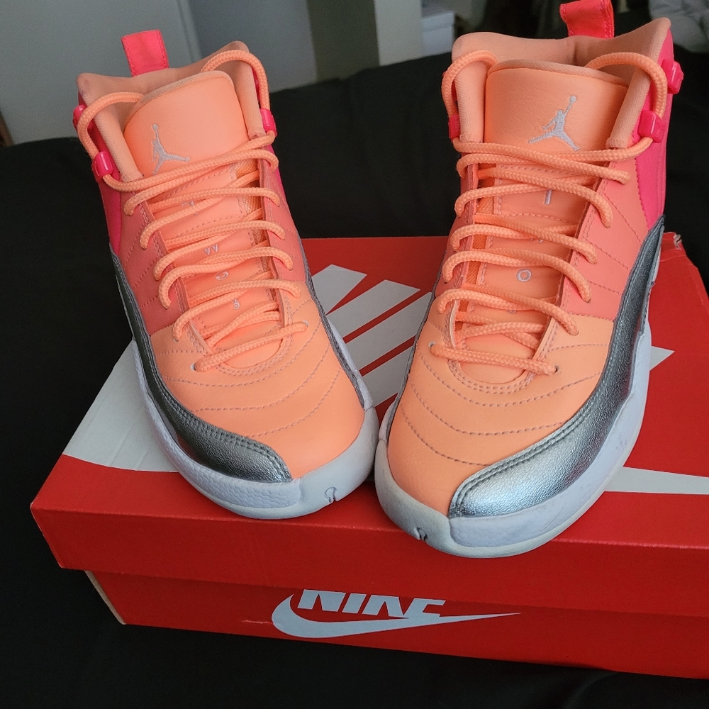 Air Jordan's 12s/Retro